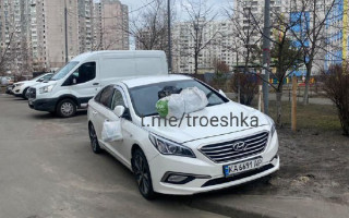 В Киеве проучили очередного «героя парковки»