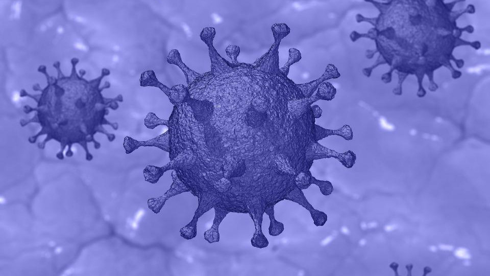 Ученые придумали новый способ обнаружения коронавируса