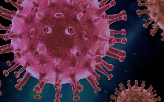 Врачи назвали симптомы нового подварианта «Омикрона»