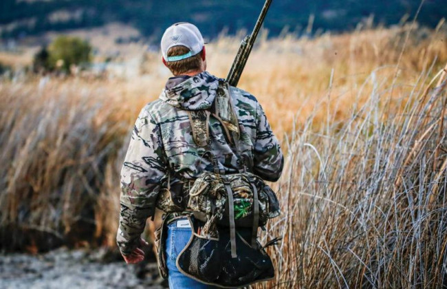 Под Николаевом охотники с собаками отстреливают россиян