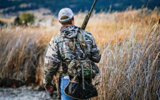 Под Николаевом охотники с собаками отстреливают россиян