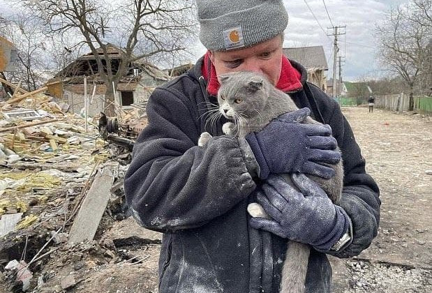 Врятував лише кота: через обстріли чоловік втратив дружину, доньку та всю родину