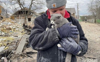 Врятував лише кота: через обстріли чоловік втратив дружину, доньку та всю родину