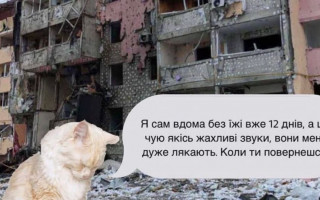 Украинцев призвали не бросать своих животных в городах, фото