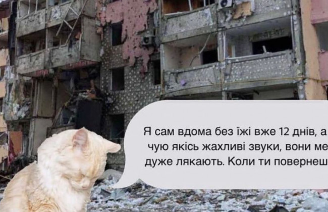 Украинцев призвали не бросать своих животных в городах, фото