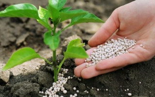 Кабмін вводить заборону на експорт добрив з України