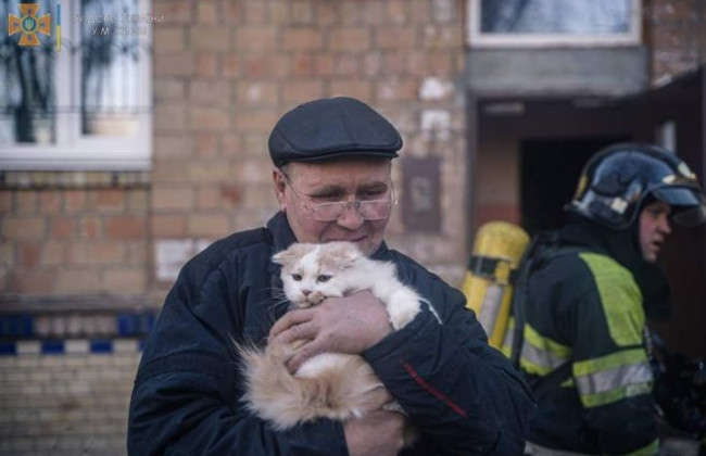 Ракетный обстрел Киева: в ГСЧС опубликовали фото с места падения куска сбитой ракеты
