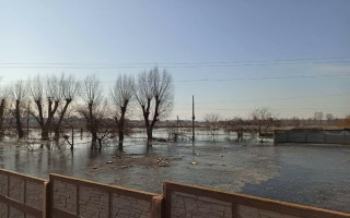 На Київщині захоплене окупантами село під загрозою затоплення: фото