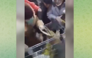 В России люди в магазинах борются за сахар: эпическое видео
