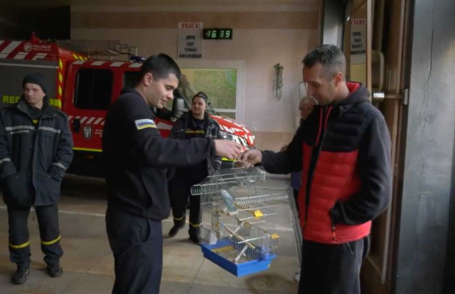 В Киеве попугая, который пережил ракетную атаку, смогли вернуть в семью: видео