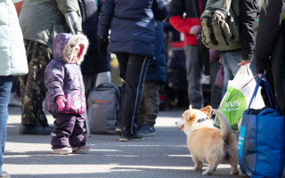 Владельцы жилья, которые бесплатно приняли переселенцев, получат компенсацию от государства