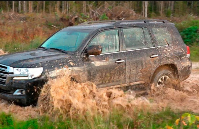 На Сумщині окупанти викрадають авто спецслужб та цивільні машини: назвали номери