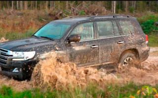 На Сумщині окупанти викрадають авто спецслужб та цивільні машини: назвали номери
