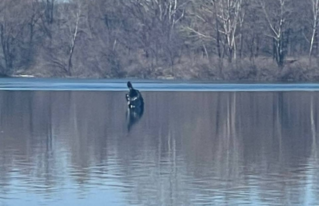 Над Киевом украинская ПВО сбила вражескую ракету