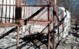 Лошади сгорели заживо: в Гостомеле оккупанты сожгли конюшню