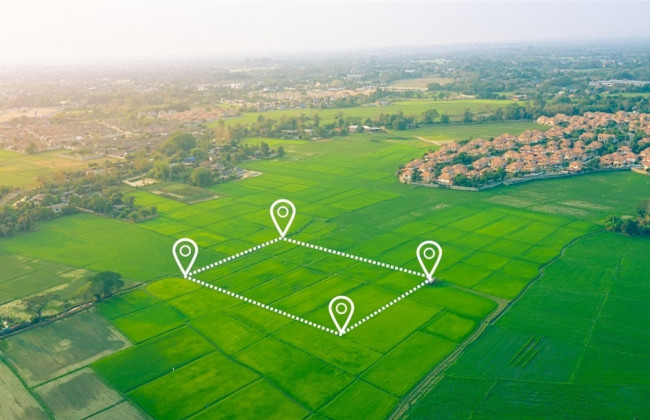 В умовах обмеженого функціонування Земкадастру формування земельних ділянок з метою передачі їх в оренду здійснюватиметься без присвоєння кадастрового номеру