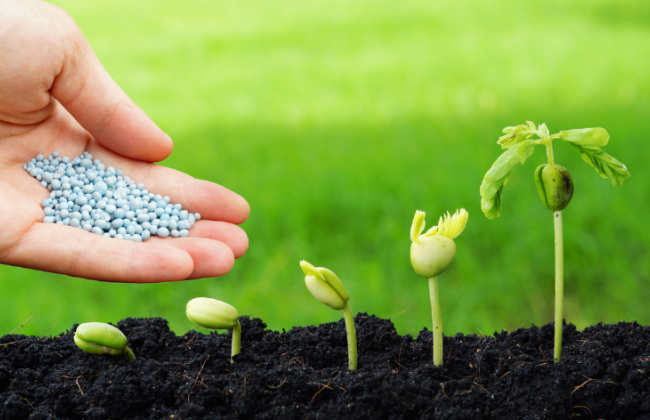 Кабмін тимчасово обмежив експорт добрив з України