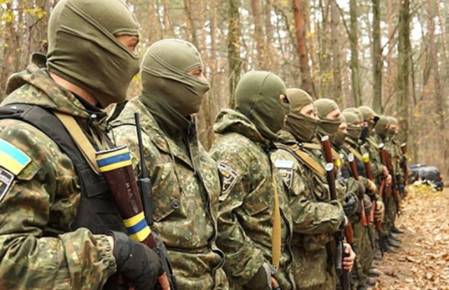 Верховна Рада спростила процедури призначення командирів добровольчих формувань територіальних громад