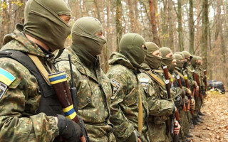 Верховна Рада спростила процедури призначення командирів добровольчих формувань територіальних громад