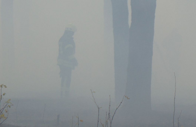 В Чернобыльской зоне произошел масштабный пожар