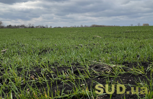 Плата за землю у період дії воєнного стану: роз’яснення податкової