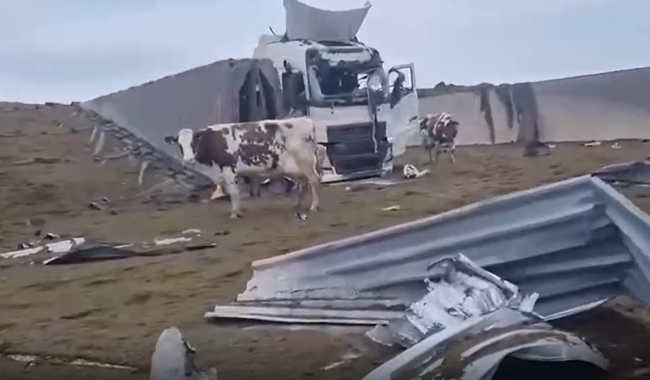 В Харьковской области разрушили ферму