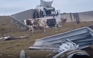 В Харьковской области разрушили ферму