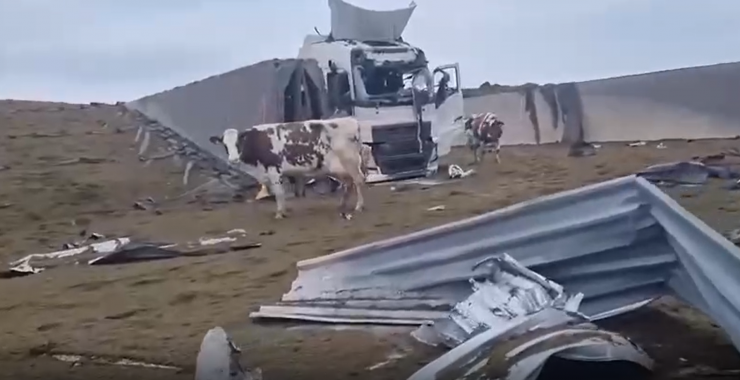 В Харьковской области разрушили ферму