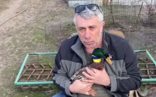 Доктор Комаровский представил новую «боевую утку», видео