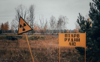 «Рыжий лес» на территории ЧАЭС превратил российских военных в смертников