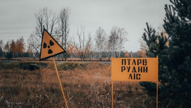 «Рыжий лес» на территории ЧАЭС превратил российских военных в смертников