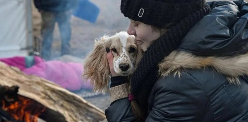 У Бородянці волонтери рятують собак, які дивом вижили після 30 днів голоду у притулку: відео