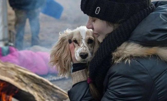 У Бородянці волонтери рятують собак, які дивом вижили після 30 днів голоду у притулку: відео