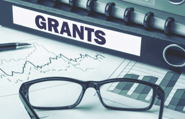 Комітет ВР рекомендує Раді підтримати на час війни спрощення залучення іноземних грантів до бюджету