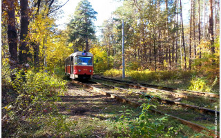В’їзд в Пущу-Водицю обмежено на невизначений термін, — Оболонська РДА