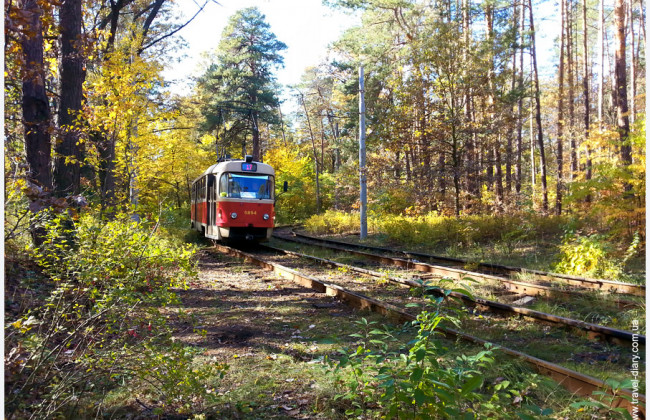 В’їзд в Пущу-Водицю обмежено на невизначений термін, — Оболонська РДА