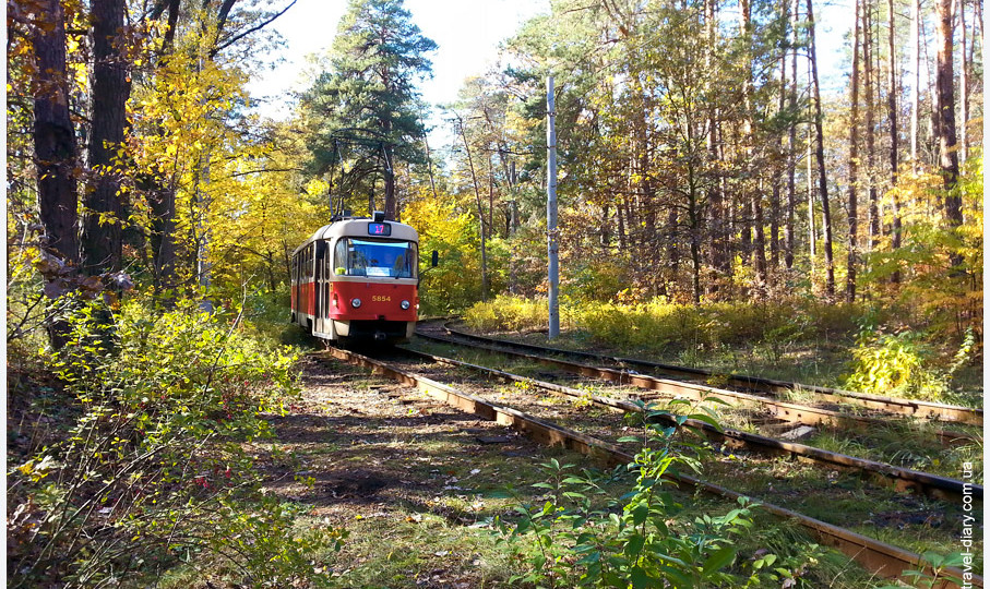 В’їзд в Пущу-Водицю обмежено на невизначений термін, — Оболонська РДА