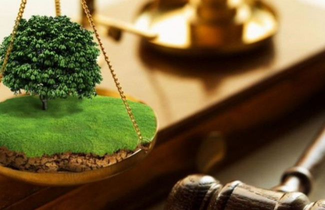 Земельні торги в умовах воєнного стану: роз’яснення Мінагрополітики