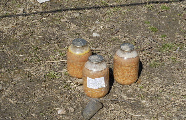 Такое даже наши свиньи есть не будут: показали фото «пайка» оккупантов