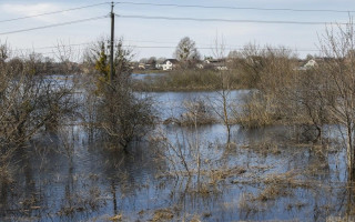 Под Киевом село до сих пор затоплено из-за разрушенной оккупантами дамбы, фото