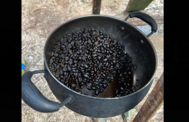 Впервые увидели: в Рыжем лесу оккупанты пытались сварить кашу из кофейных зерен, фото