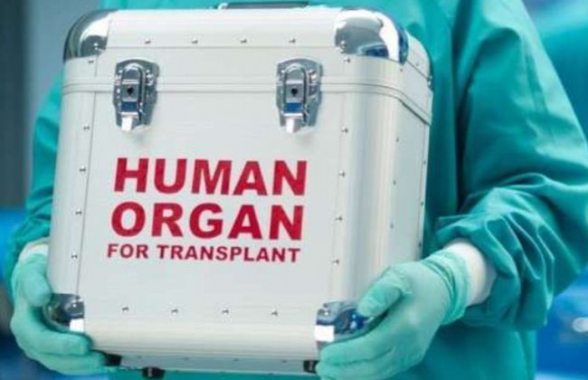 У «Слузі народу» обіцяють здешевлення трансплантацій: Рада ухвалила закон