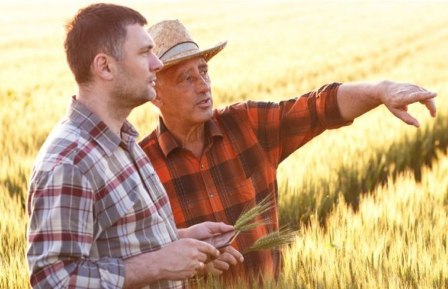 Назвали перелік спрощених Урядом процедур для аграріїв в умовах війни