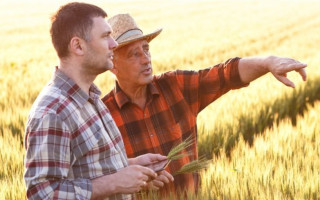 Назвали перелік спрощених Урядом процедур для аграріїв в умовах війни