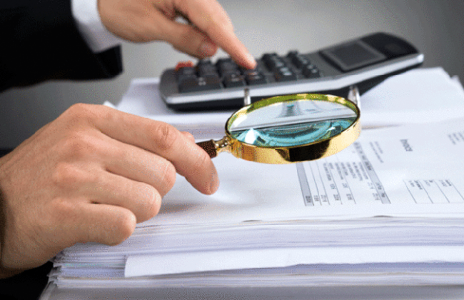 В Налоговой рассказали, какие фактические налоговые проверки могут проводить