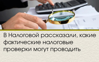 В Налоговой рассказали, какие фактические налоговые проверки могут проводить