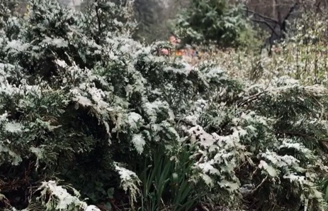 В Киеве посреди весны выпал снег, видео