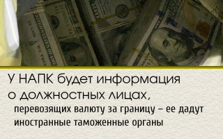 У НАПК будет информация о должностных лицах, перевозящих валюту за границу – ее дадут иностранные таможенные органы
