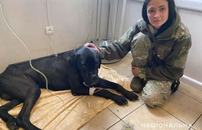 Под Киевом полицейские спасли пса, которого бросили хозяева: видео