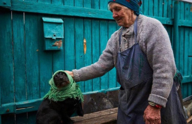 Под Киевом женщина показала, как укутывала собаку во время обстрелов оккупантов: фото